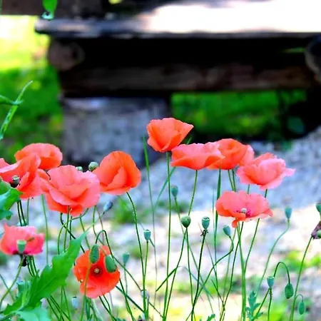 خيمة فخمة De Hobbit Pour Famille *